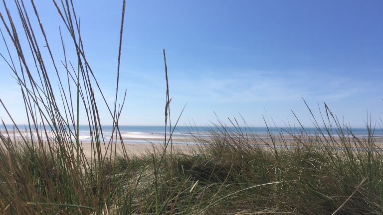 The marram grass and beautiful view to the sea from the dunes at Camber Sands.