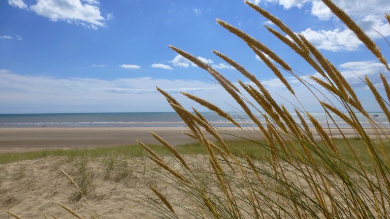 Camber Sand beach with marram grass.